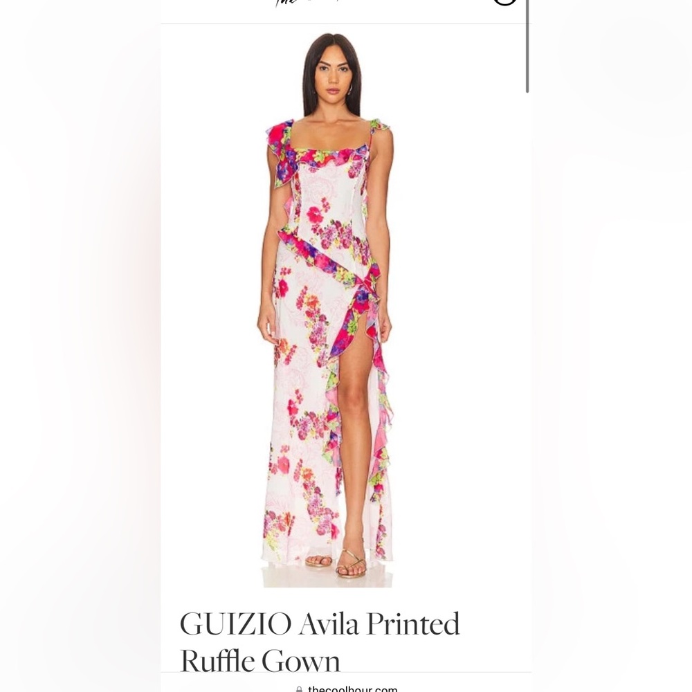 Guizio Avila Gown NWT